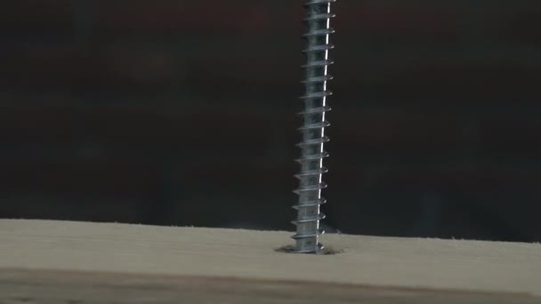 木匠螺丝刀用螺丝枪把螺丝拧成木板 — 图库视频影像