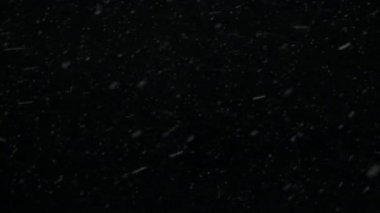 Kar yağışı, animasyon render kar, kar taneleri, kar taneleri, düşen kar saydam arka plan 