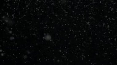 Kar yağışı, animasyon render kar, kar taneleri, kar taneleri, düşen kar saydam arka plan 