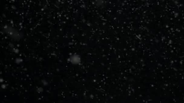 Snö Snöflingor Renderade Animering Snöar Fallande Snöflingor Snö Transparent Bakgrund — Stockvideo