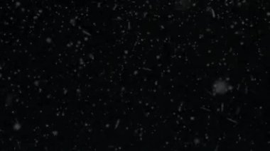 Kar yağışı, animasyon render kar, kar taneleri, kar taneleri, düşen kar saydam arka plan 