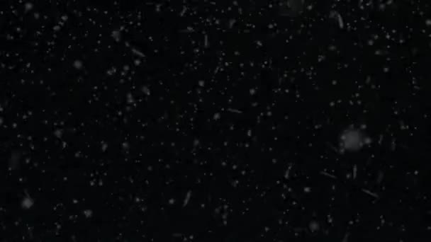渲染的雪 雪花飘落 雪透明背景的动画 — 图库视频影像