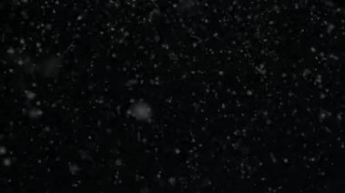 Kar, kar taneleri, kar yağışı, yükseliyor kar taneleri, kar şeffaf arka plan ile animasyon render 