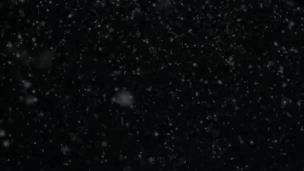 Snow Snowflakes Rendered Animation Snowing Falling Snowflakes Snow Transparent Background — Stock Video