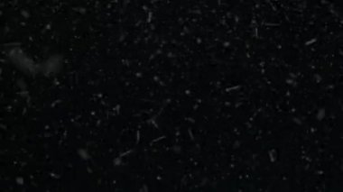 Kar, kar taneleri, kar yağışı, yükseliyor kar taneleri, kar şeffaf arka plan ile animasyon render 