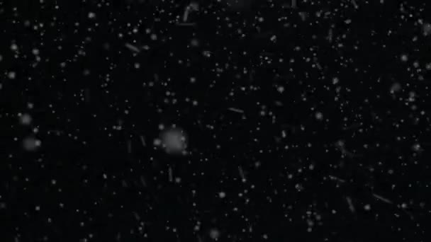 Snow Snowflakes Rendered Animation Snowing Falling Snowflakes Snow Background — Stock Video