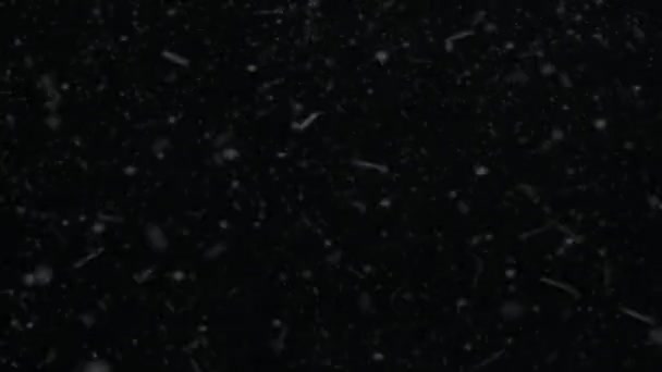 降る雪のアニメーション 背景が透明な雪のレンダリング — ストック動画