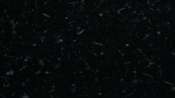 Snö Snöflingor Renderade Animering Snöar Fallande Snöflingor Snö Med Transparent — Stockvideo