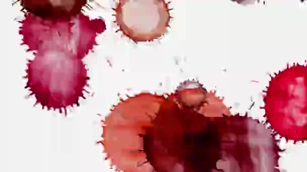 在透明背景的血液飞溅 — 图库视频影像