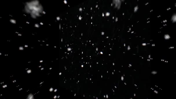 Snow Snowflakes Rendered Animation Snowing Falling Snowflakes — Stock Video