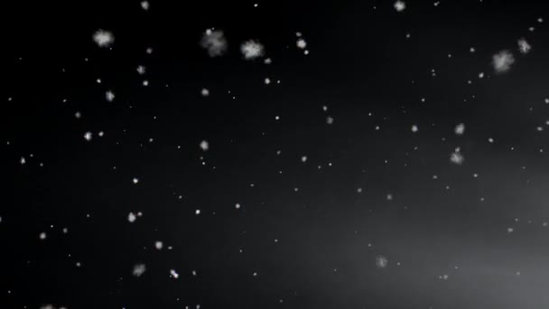 Snow Snowflakes Rendered Animation Snowing Falling Snowflakes — Stock Video