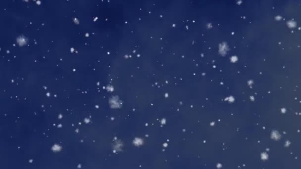 Snow Snowflakes Rendered Animation Snowing Falling Snowflakes — Stock Video
