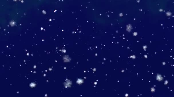 Snö Snöflingor Renderade Animering Snöar Fallande Snöflingor — Stockvideo