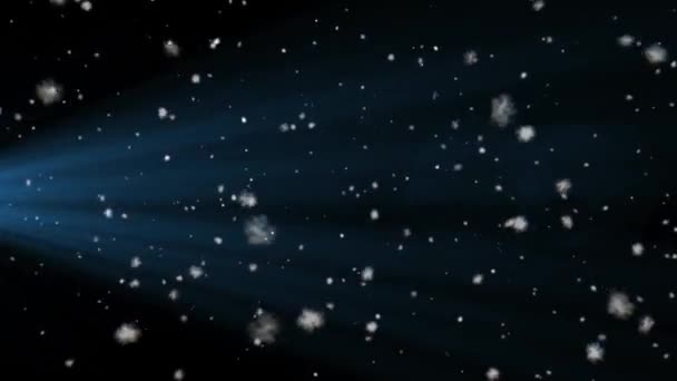 Schnee Schneeflocken Gerenderte Animation Von Schnee Fallenden Schneeflocken — Stockvideo