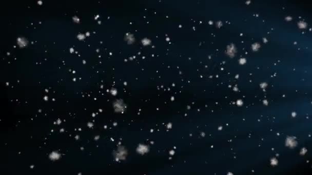 Snow Snowflakes Rendered Animation Snowing Falling Snowflakes — Stock Video