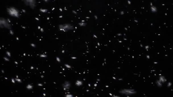 雪的渲染动画 飘落的雪花 — 图库视频影像