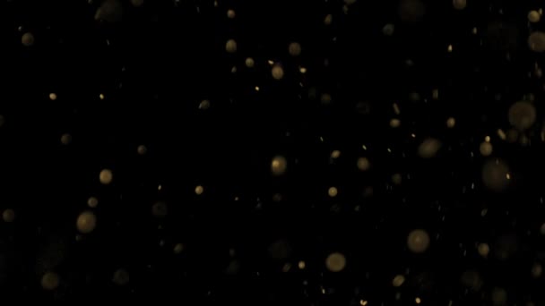 圣诞金光粒子在黑色背景上可以循环 节日祝贺问候晚会快乐的新年 圣诞节庆祝的概念 — 图库视频影像