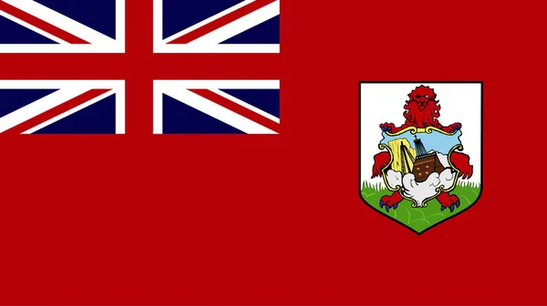 惊人的百慕大向量 世界国家转动的国民旗子 — 图库照片