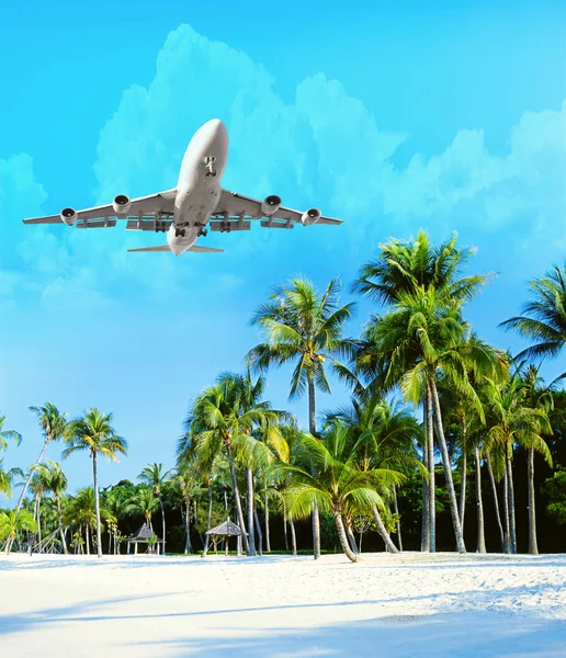 Plane flies over the palm trees. Travel concept with aircraft, c — Stock Photo, Image