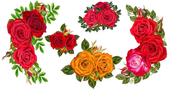 Úžasné růže isolatet na bílém pozadí — Stock fotografie