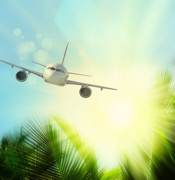 Kavram uçak, bulutlar ve palmiye ağaçları ile seyahat — Stok fotoğraf