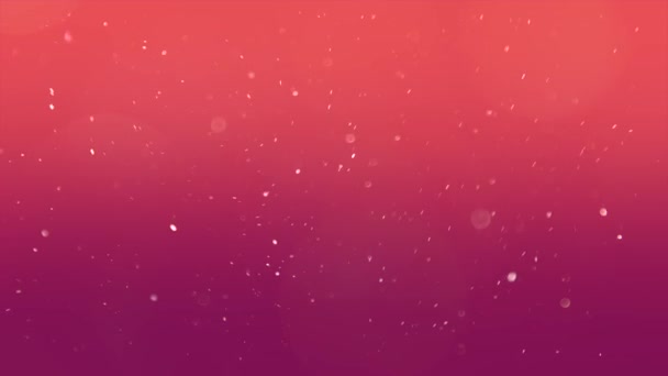 Particle Seamless Rose Background — Stock Video
