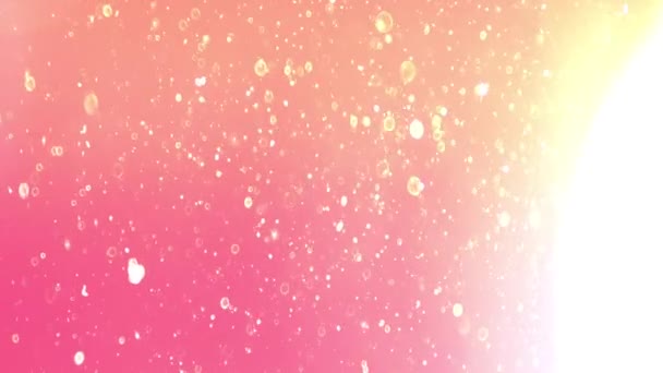Σωματιδίων Χωρίς Συγκόλληση Ροζ Φόντο — Αρχείο Βίντεο