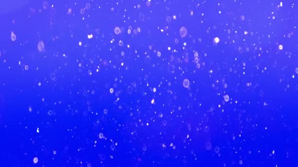 青の背景にシームレスな粒子 — ストック動画
