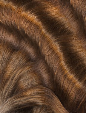 Saç. Saç dokusu. Sağlıklı saç