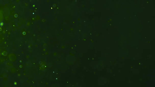 カラフルな輝く円形 映画のフレア光スポットライト暗い背景の抽象的な粒子の照明フレアアニメーション — ストック動画