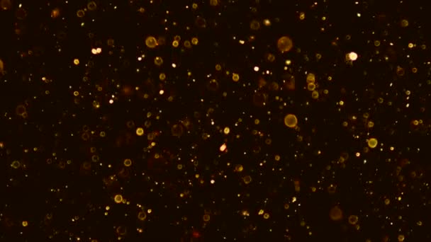 Kleurrijke Glanzende Circulaire Filmische Fakkels Licht Spotlights Verlichting Flare Animatie — Stockvideo