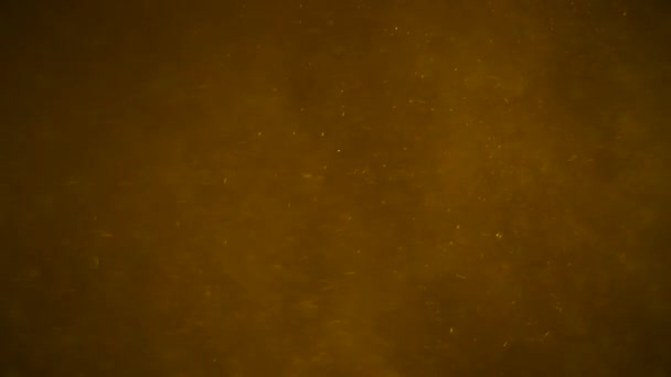 Golden Dust Background Golden Particles Dust Animation Background — Stock Video