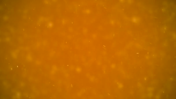 Fond de poussière dorée. Particules d'or poussière. Fond d'animation  