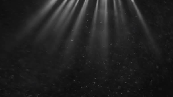 Солнечные Лучи Атмосфера Частичная Пыль Анимационный Фон — стоковое видео