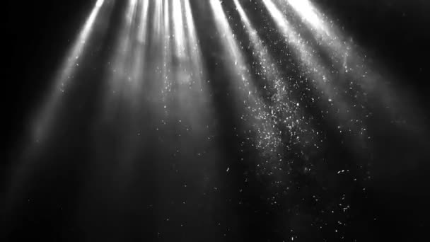 太陽光線 雰囲気 ほこりの粒子 アニメーション背景 — ストック動画