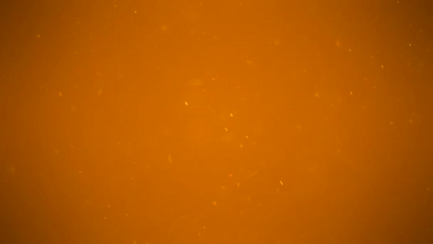 Bulles se déplaçant dans verser de la bière. Mousse de bière  