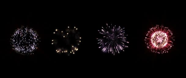 Kleurrijk Vuurwerk Zwarte Achtergrond — Stockvideo