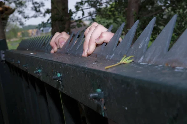 Manos de un niño refugiado en una valla de acero —  Fotos de Stock