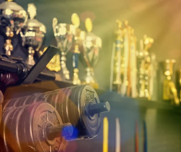 Süreç Retro renk stili ile Gym Eski tozlu Dumbbell