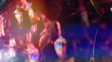 çayırda yabani çiçek 