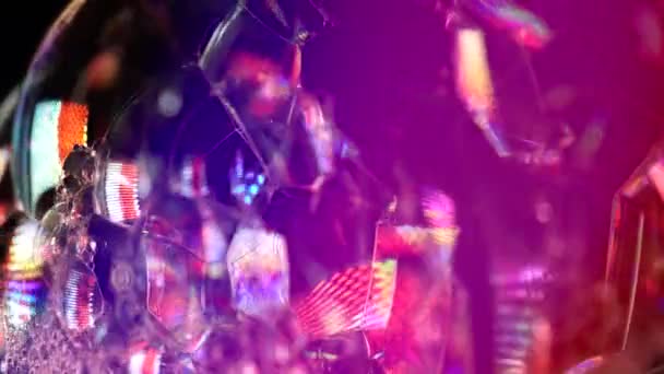 fleur sauvage dans la prairie  