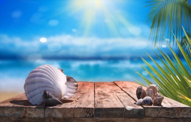 Mavi denize karşı ahşap masada güzel deniz kabukları ve