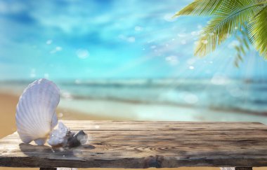 Mavi denize karşı ahşap masada güzel deniz kabukları ve