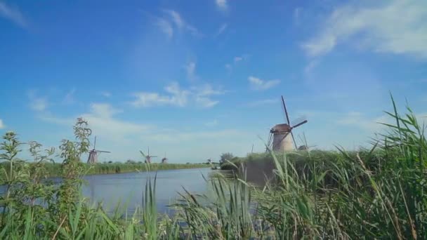 Niederländisch Traditionelle Windmühlen Auf Holland Unesco Welterbe — Stockvideo