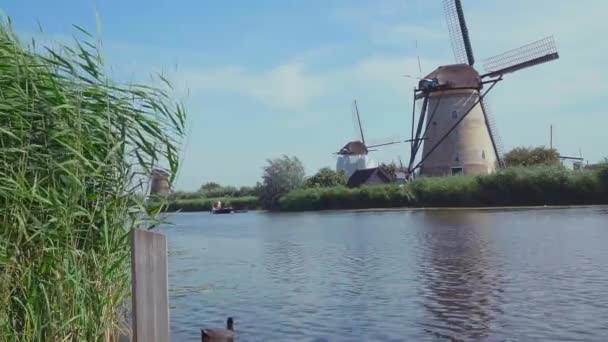 Niederländisch Traditionelle Windmühlen Auf Holland Unesco Welterbe — Stockvideo