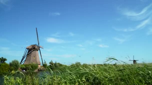 Nizozemsko Tradiční Větrné Mlýny Holandsku Světové Dědictví Unesco — Stock video