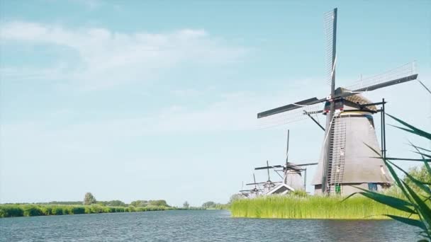 Holandia Tradycyjne Wiatraki Holandii Wpisane Listę Światowego Dziedzictwa Unesco — Wideo stockowe