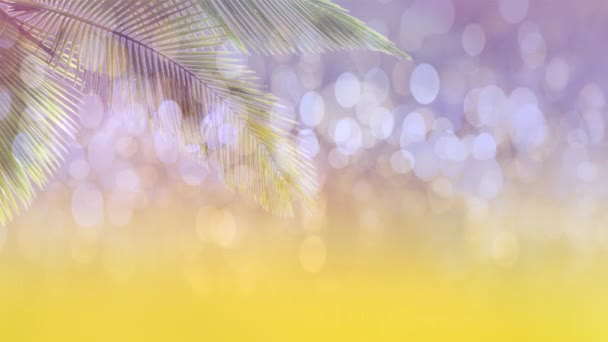 模糊的棕榈叶和五颜六色的散景灯 — 图库视频影像