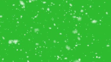 Yüksek kaliteli hareket animasyonu yeşil ekrana düşen karı yeniden canlandırıyor. Krom anahtar. Kar görüntüleri