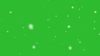 Yüksek kaliteli hareket animasyonu yeşil ekrana düşen karı yeniden canlandırıyor. Krom anahtar. Kar görüntüleri
